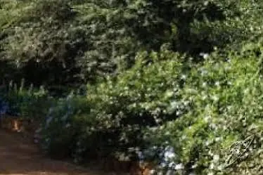 Ξενοδοχείο Agriturismo Il Termine Βίλα Rio Marina