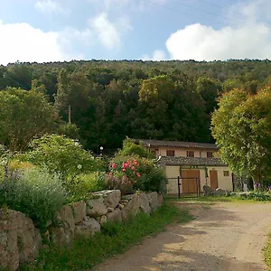 L'amabile Geko Casa vacanze