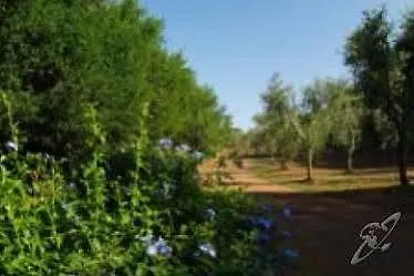 Agriturismo Il Termine Villa Rio Marina 0*,
